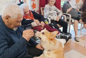 emeis europe animale