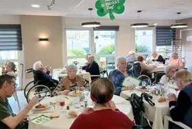 emeis saint joseph patrick