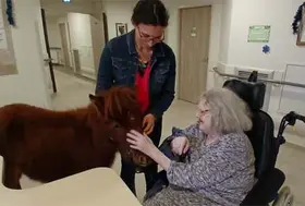 emeis saint joseph poney