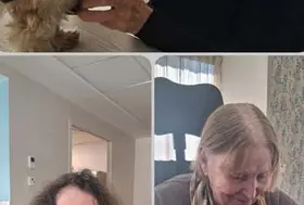 emeis jardins beauvallon coocky