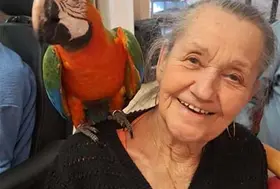 emeis les dornets spectacle