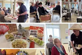 emeis residence lisle chinois