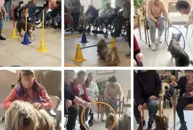 emeis residence lisle mediation