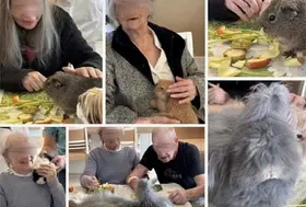 emeis residence isle mediation