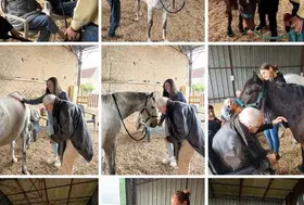 emeis choiseul temps