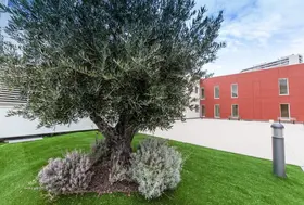 emeis-centre-cardio-vasculaire-de-valmante-marseille-umn