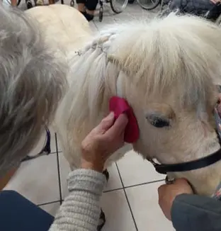 emeis jeanne darc avril