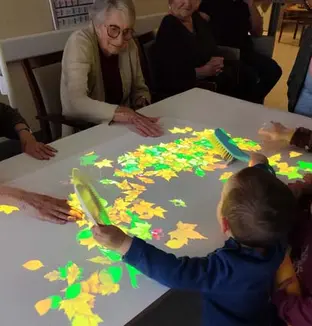 emeis amaltides tover