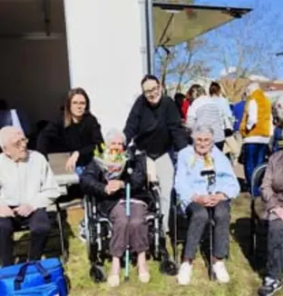 emeis amaltides tulipes