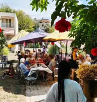 emeis mimosas visite