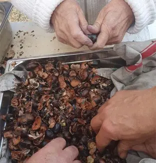 emeis lavandines marrons