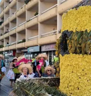 emeis bois joli corso