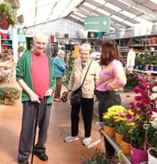 emeis bois joli jardinerie