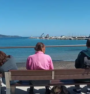 emeis bois joli sortie