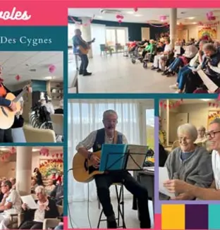 emeis cygnes benevoles