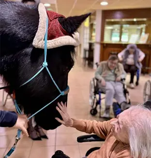 emeis jardins jeanne juments