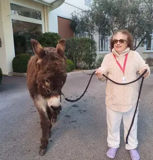 emeis jardins grasse anes