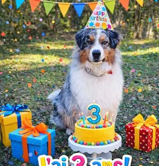 emeis jardins de grasse anniv