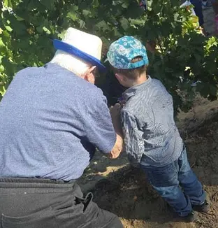 emeis carmableu vendanges
