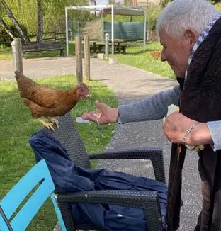 emeis balbigny poules