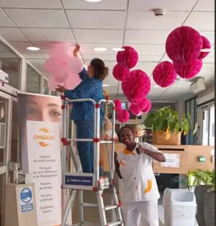 emeis balbigny rose