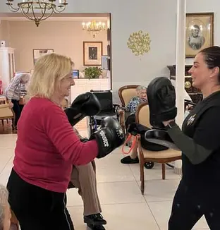 emeis chateau villeniard boxe