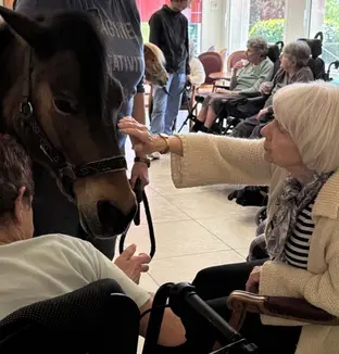 emeis chateau villeniard equi