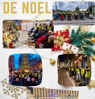 emeis chardons bleus illuminations