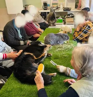 emeis cheneraie mediation