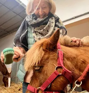 emeis vignes suresnes mars