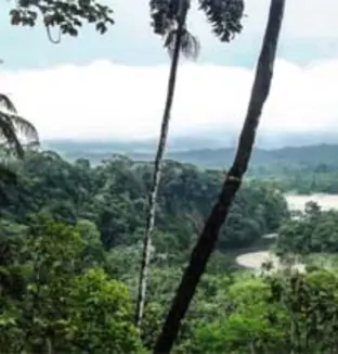 emeis les rives saint nicolas amazonie