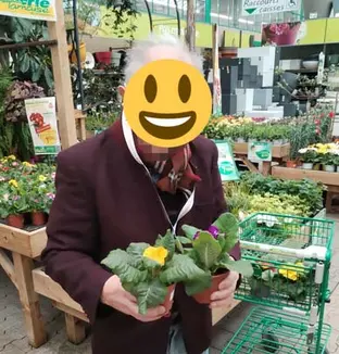 emeis jardins escudie jardin