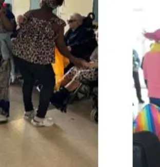 emeis ile nantes carnaval