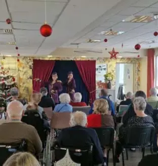 emeis ile de nantes spectacle