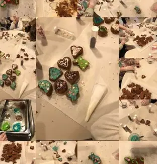 emeis la saule hiver