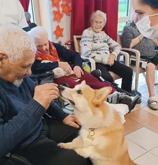 emeis europe animale