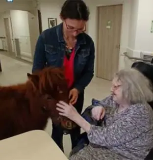 emeis saint joseph poney