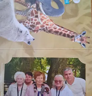emeis cotonnieres zoo