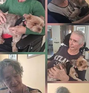 jardins beauvallon animale