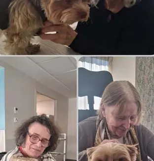 emeis jardins beauvallon coocky