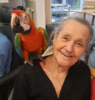 emeis les dornets spectacle