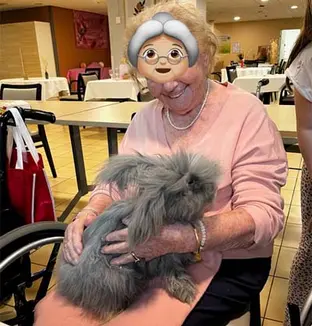 emeis residence de lisle mediation