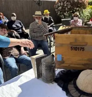 emeis residence isle terre