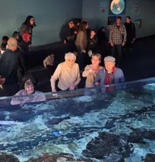 emeis beausejour visite