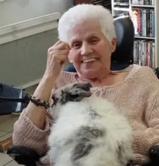 emeis serianes mediation