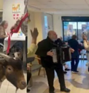 emeis saint remy journee