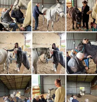 emeis choiseul temps