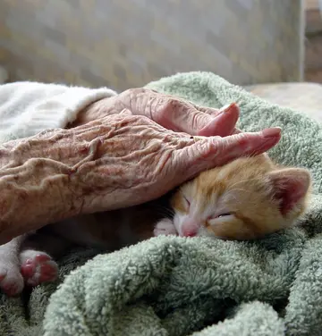 médiation animale en ehpad