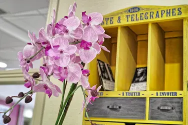 maison de retraite le relais des sens talence p2m0411 dxo snapseed