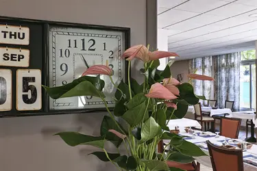 maison de retraite les chesnaies salle de restauration 84